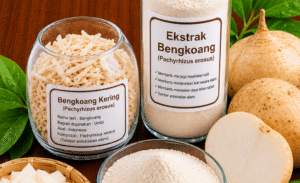 Read more about the article BENGKUANG (JICAMA) EXTRACT