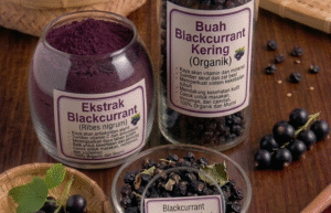 Read more about the article BLACKCURRANT EXTRACT