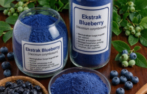 Read more about the article BLUEBERRY EXTRACT