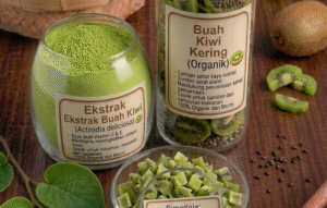 Read more about the article BUAH KIWI (KIWI FRUIT) EXTRACT