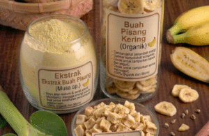 Read more about the article BUAH PISANG (BANANA FRUIT) EXTRACT