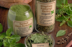 Read more about the article KEMANGI (BASIL) EXTRACT