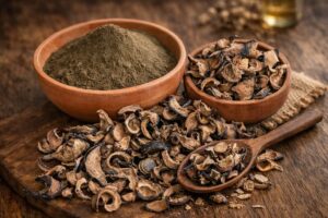 Read more about the article MAHKOTA DEWA (GOD’S CROWN) EXTRACT