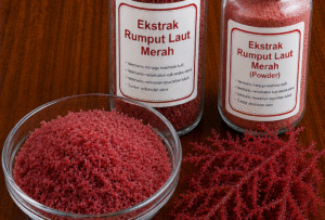 Read more about the article RUMPUT LAUT MERAH  (RED SEAWEED) EXTRACT